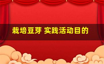 栽培豆芽 实践活动目的